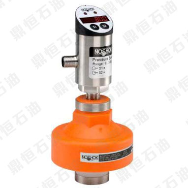 NOSHOK�ǽ��ٸ�Ĥ�ܷ�͉���׃����/�_�P