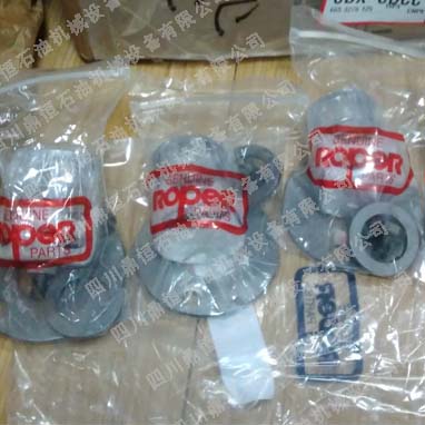 Roper�X݆��2AM27�ܷ�������N24-154 ����(gu��)�M(j��n)��